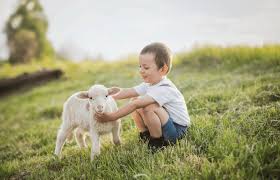 Stage A la rencontre de nos amis les animaux